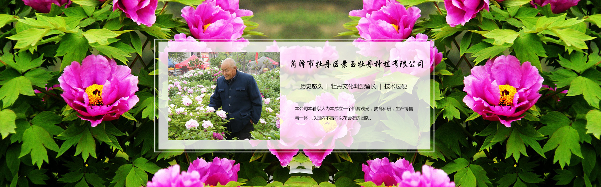 手機(jī)網(wǎng)站改版
